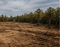 Cleared property